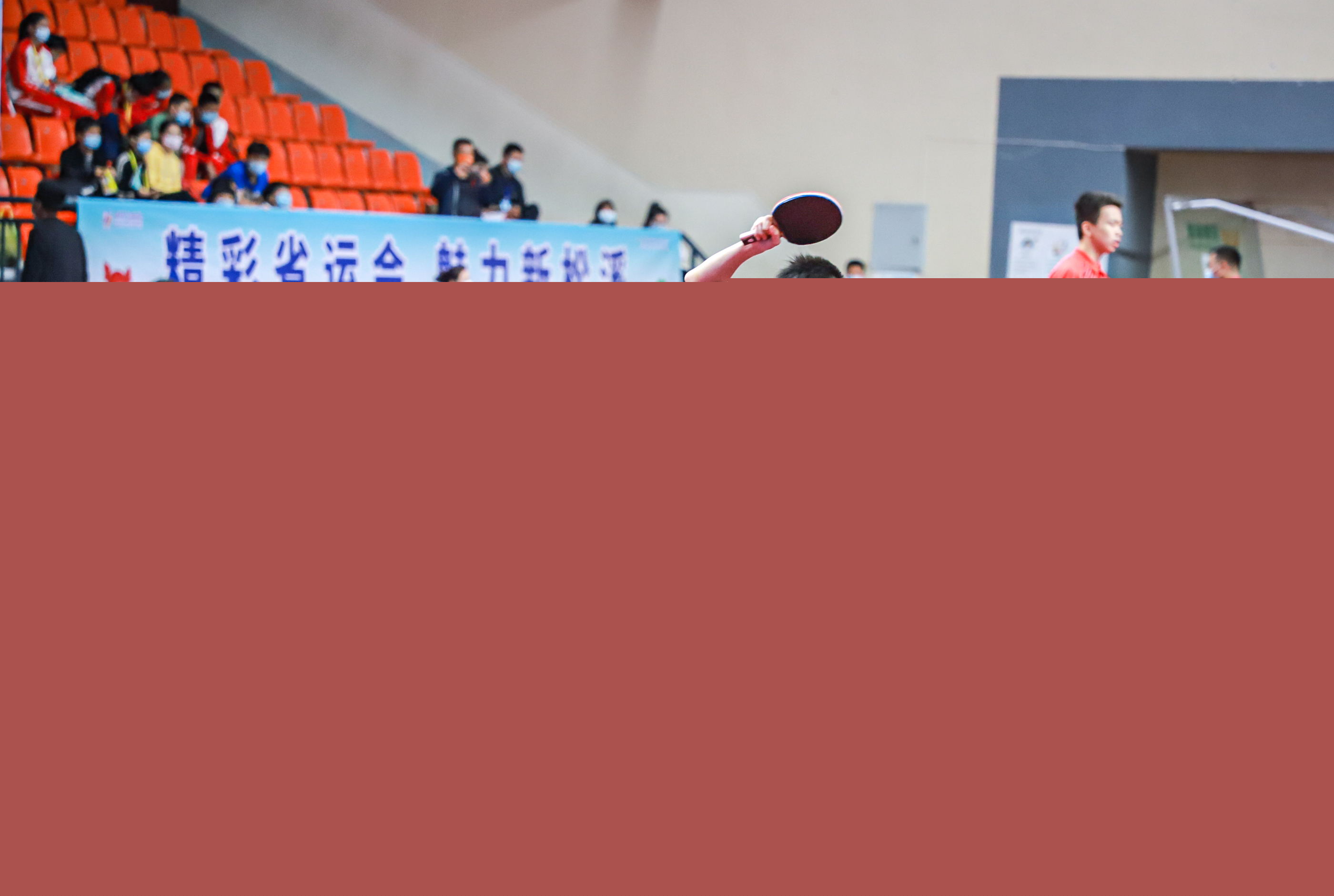 率从34 率从34